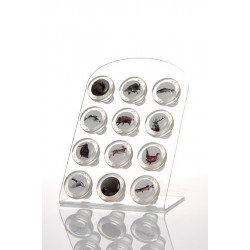 Bouchon verre Vinolok decor CHASSE et PECHE + presentoir