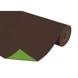 Rouleau papier kraft bi-colore marron vert DimD 0 70x100m