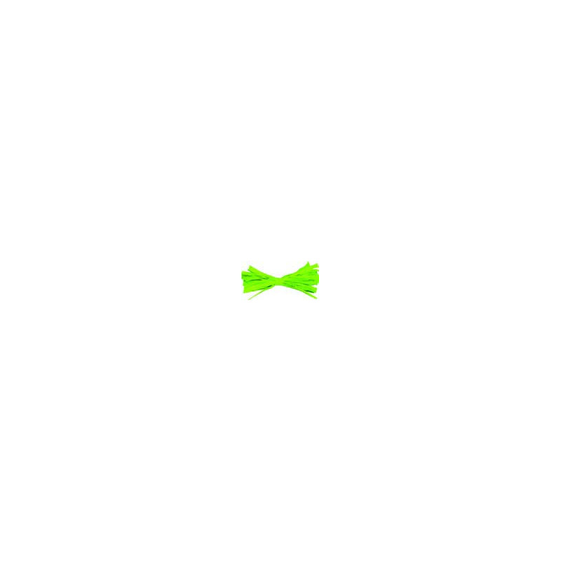 Bobine 200m raphia synthetique vert pomme